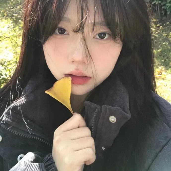 锦心似玉